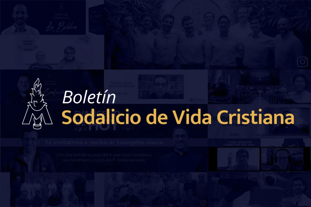 Sodalitium Christianae Vitae